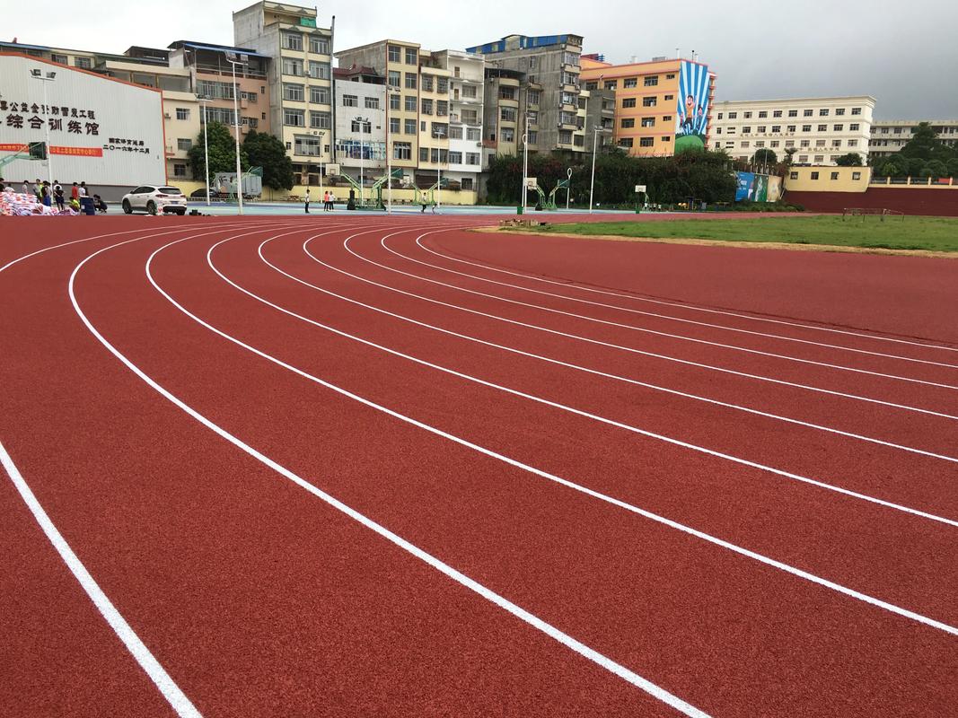 果洛藏族自治州塑胶跑道塑胶跑道材料 - 排名